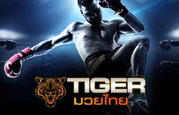 tiger-boxing